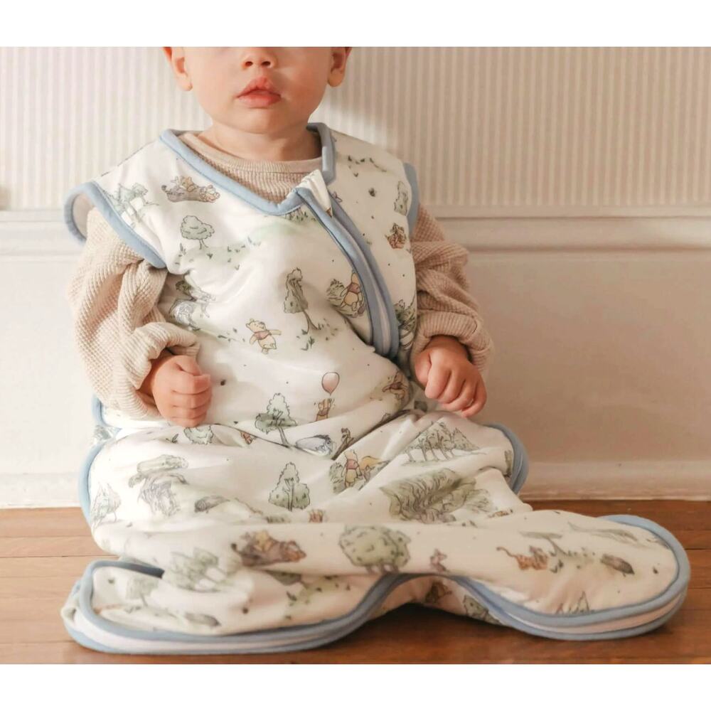 Disney Baby x Copper Pearl NEW Baby Sleep Bag 6-12 Mos Hundred Acre Wood Pooh